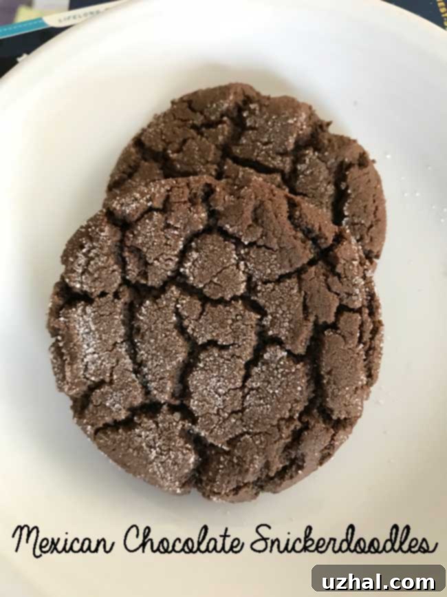 Spiced Cacao Snickerdoodles 2 Mexican Chocolate Snickerdoodles