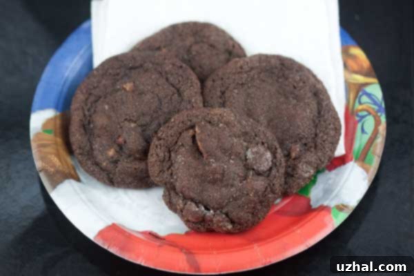 Spiced Cacao Snickerdoodles 3 Tex Mex Chocolate Cookies