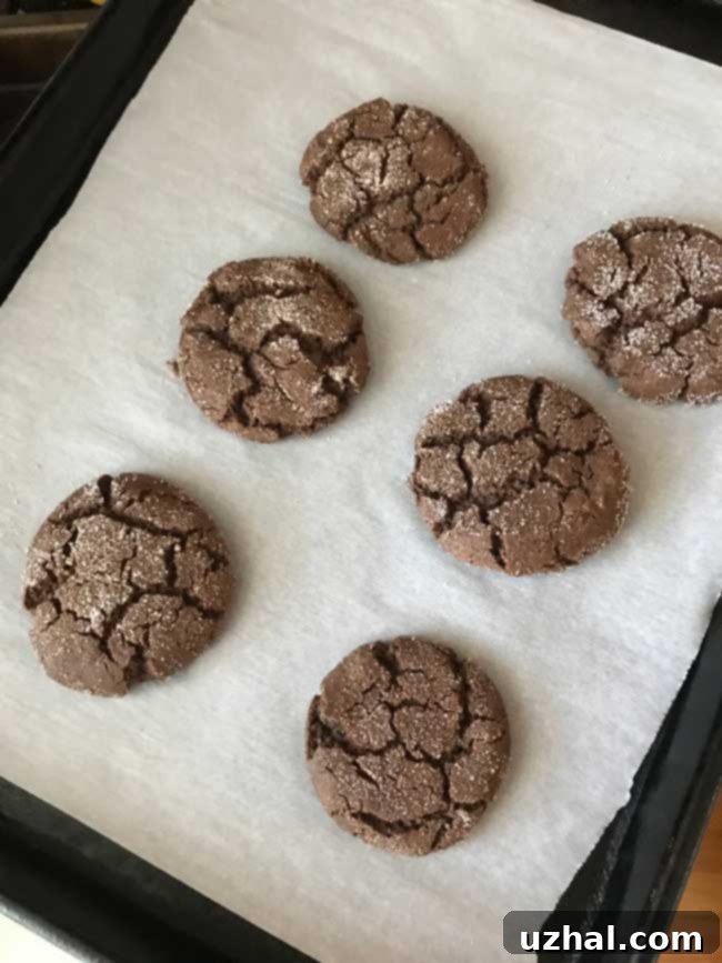 Spiced Cacao Snickerdoodles 4 img 28555 3