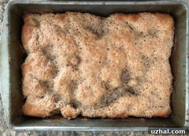 Baked Swedish Ripple Cake, showing the golden-brown caramelized ripples on top.