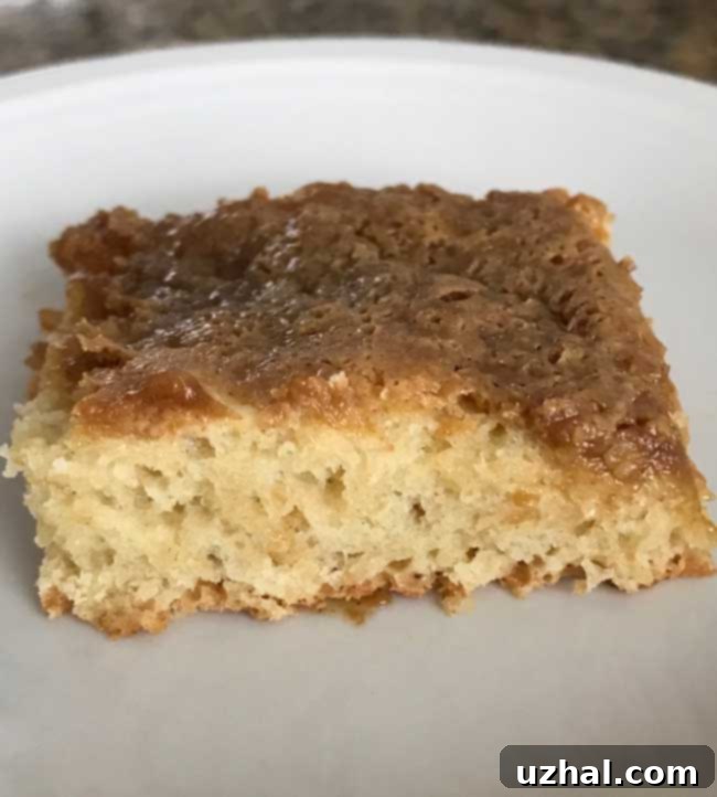 Half-batch of Swedish Ripple Coffee Cake baked in an 8-inch square pan, testing different yeast types.