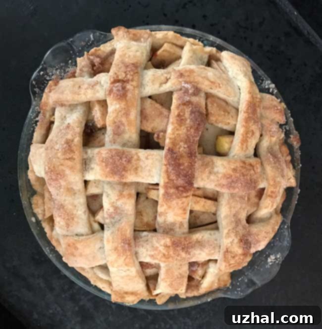 Delicious vegan apple pie, showcasing a perfectly flaky crust made with homemade plant-based butter.