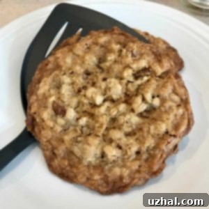 Delicious Golden Raisin Oatmeal Cookies