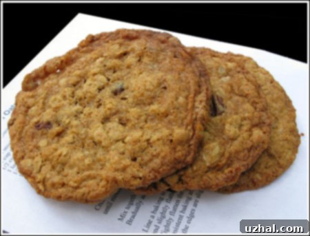 Auntie Em's Giant Bakery-Style Oatmeal Cookies, golden brown and perfectly chewy