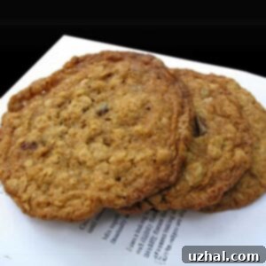 Giant Oatmeal Cookies like Auntie Em's in Los Angeles