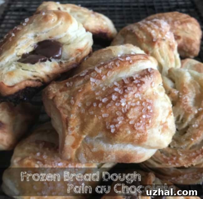 Frozen Bread Dough for Pain au Chocolat