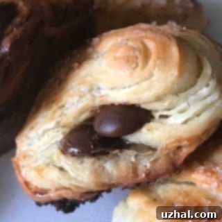 Frozen bread dough Pain au Chocolat