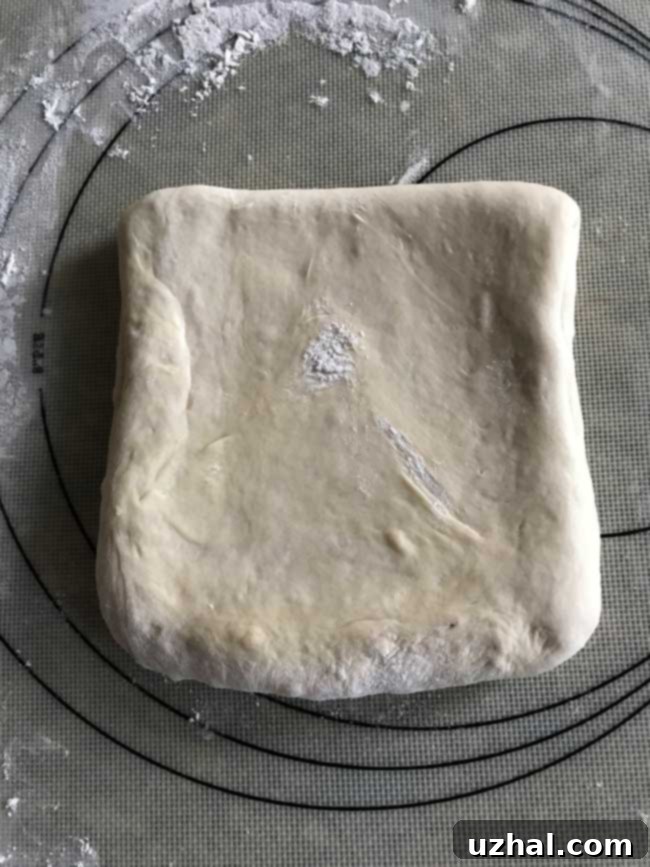 Laminated dough after turns