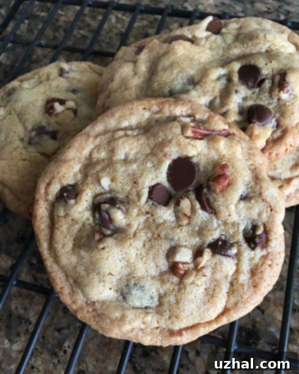 popular chocolate chip cookie recipe adapted from The Great Book of Chocolate by David Lebovitz