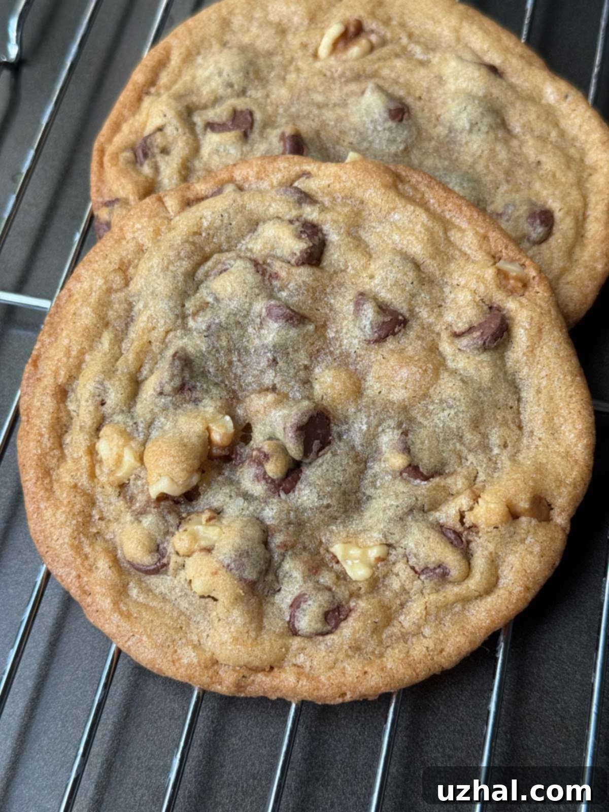 Blue Chip Cookies Chocolate Chip Cookie recipe adapted from The Great Book of Chocolate by David Lebovitz.