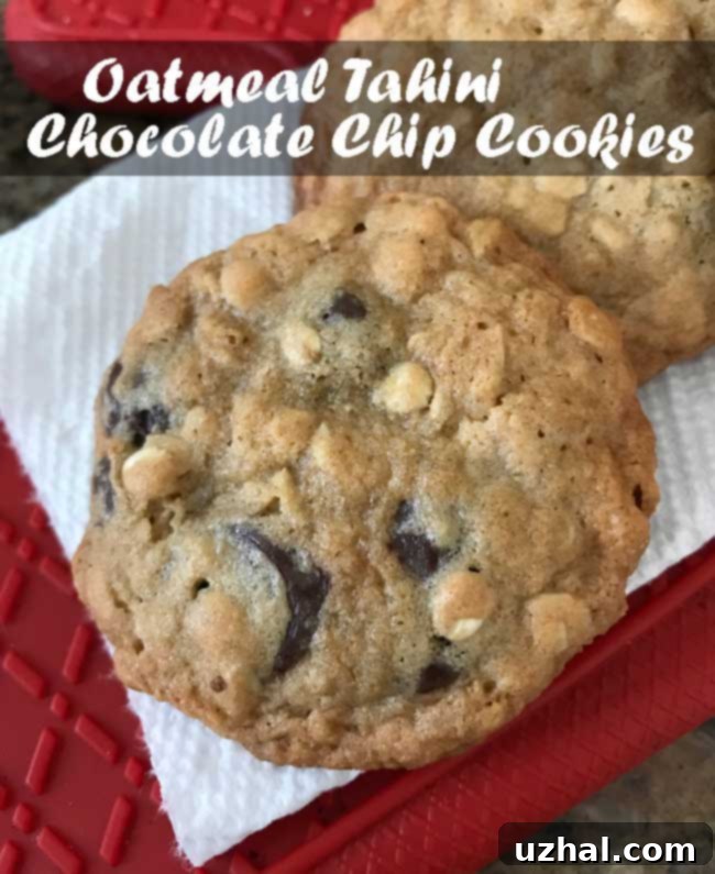 Eating Well Magazine oatmeal tahini chocolate chip cookies