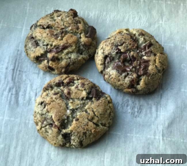 Mokonuts Inspired Cranberry Rye Chocolate Chunk Cookies with a rich, dark brown hue and flat tops