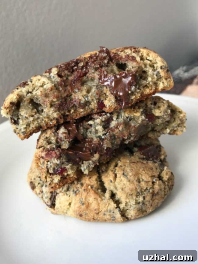 Close-up of a homemade Rye Cranberry Chocolate Chunk cookie, showcasing its textured surface