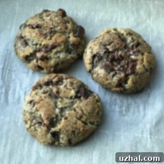 Delicious rye cranberry chocolate chunk cookie ready to be enjoyed