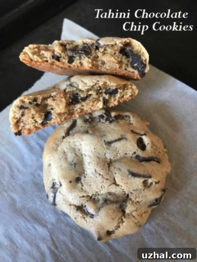 Golden Tahini Chocolate Chip Treats 3 Tahini Chocolate Chip Cookies
