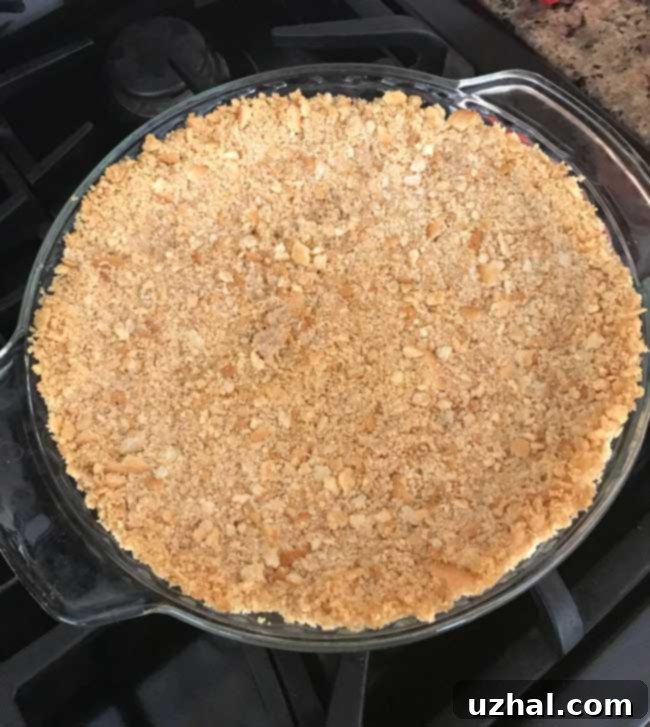 ritz cracker crust