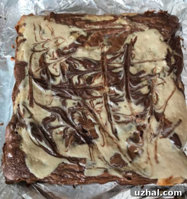 Close-up of freshly baked tahini brownies with melted chocolate chips and a tahini swirl.