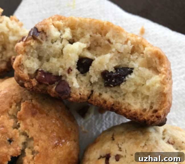 close-up of a cut fishermen's bread cookie revealing its interior