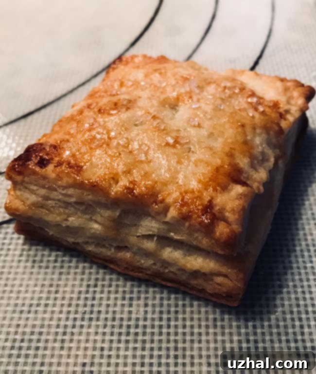 blueberry hand pies