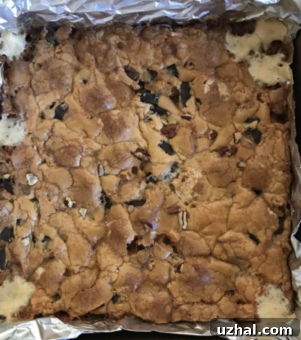 Toasted Marshmallow Dream Blondies 4 Freshly baked Chewy Marshmallow Blondies, golden, chewy, and studded with melted marshmallows and chocolate chips, cut into perfect squares.