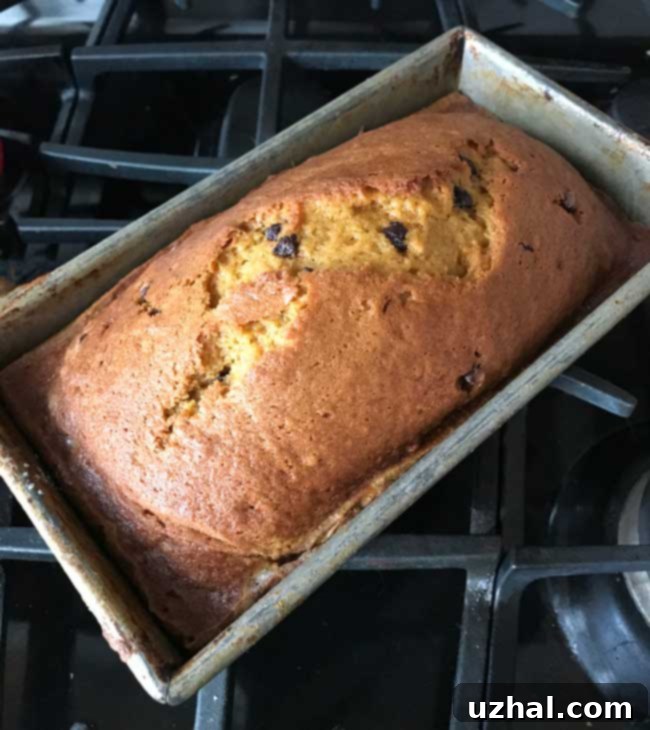 another great pumpkin bread recipe