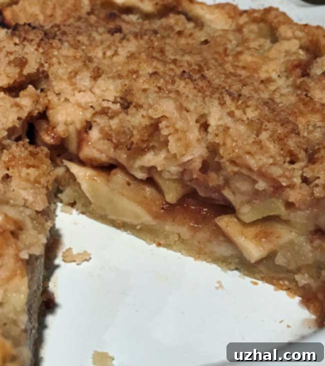 Dutch Apple Pie