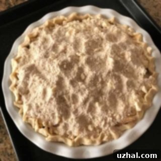 dutch apple pie