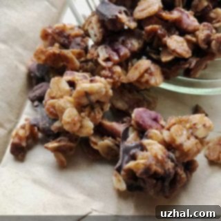 Homemade Chocolate Pecan Pie Granola in a bowl