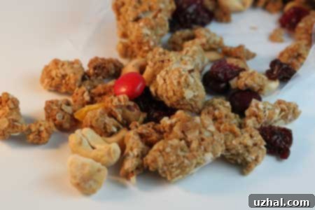 Selection of delicious homemade edible gifts, including various granolas and baked goods