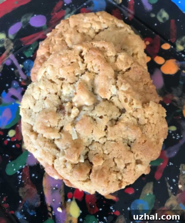 Hershey's Gold Peanut Butter Oatmeal Cookies for Cookie Exchange