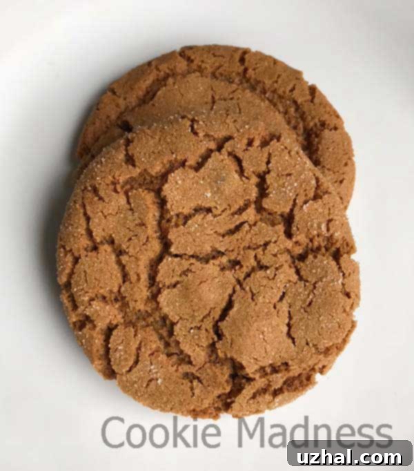 Chewy Canola Oil Ginger Cookies for Cookie Swap