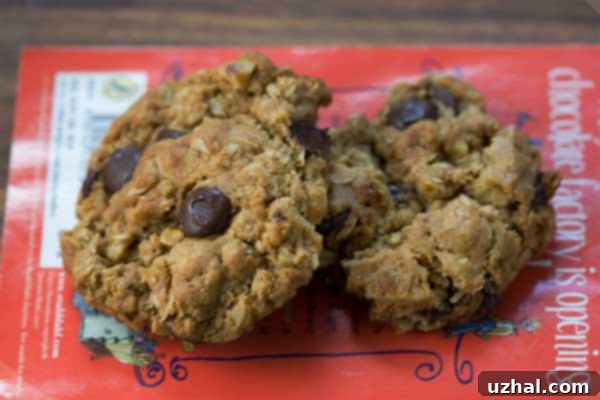 Crunchy Ground Granola Oatmeal Chocolate Chip Cookies