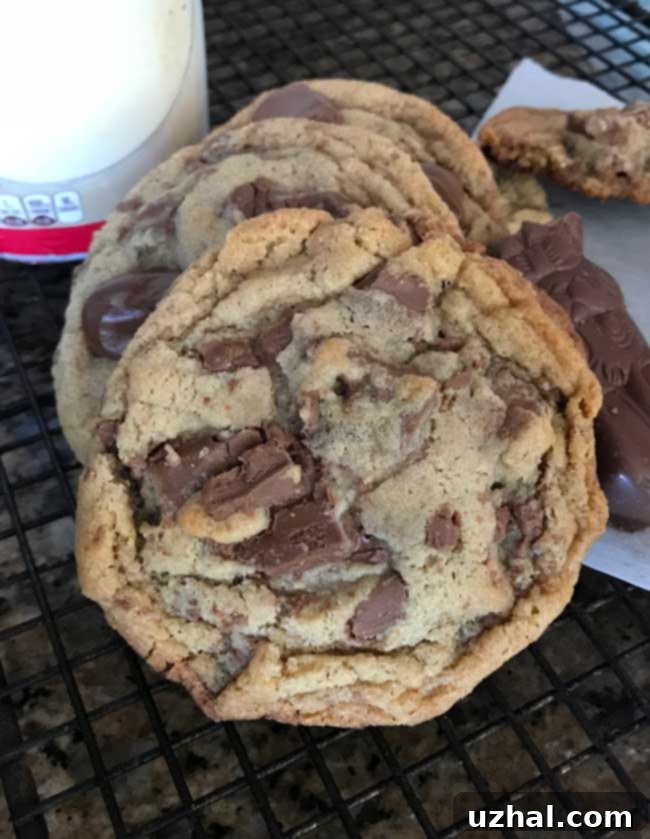 Malted Milk Chocolate Chunk Cookies with Unique Crunch