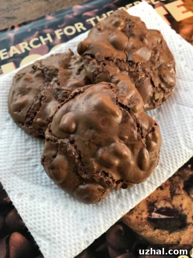 Rich, fudgy Brownie Chip Meringues cookies on a cooling rack, showcasing their unique texture and chocolate chunks.