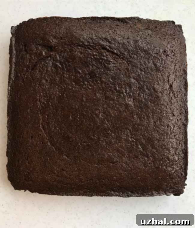Close-up of the rich, dark texture of spicy gingerbread baked in a square pan