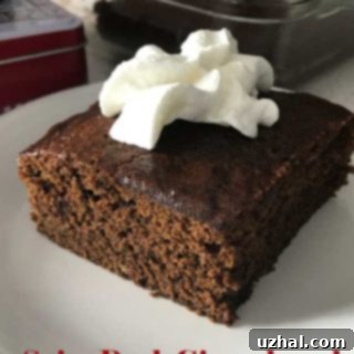 Spicy Dark Gingerbread baked in a square pan, ready to be served