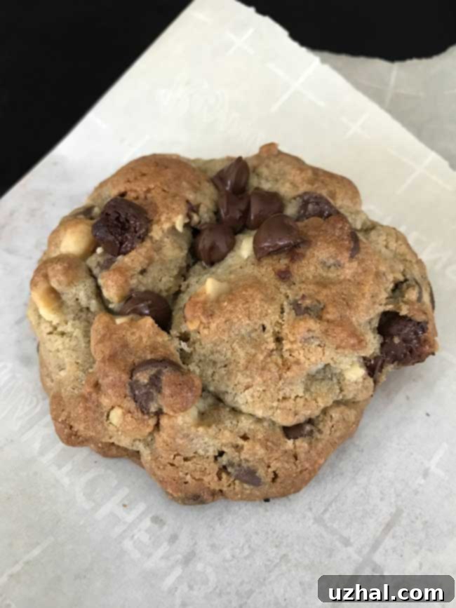 giant walnut rye flour chocolate chip cookies