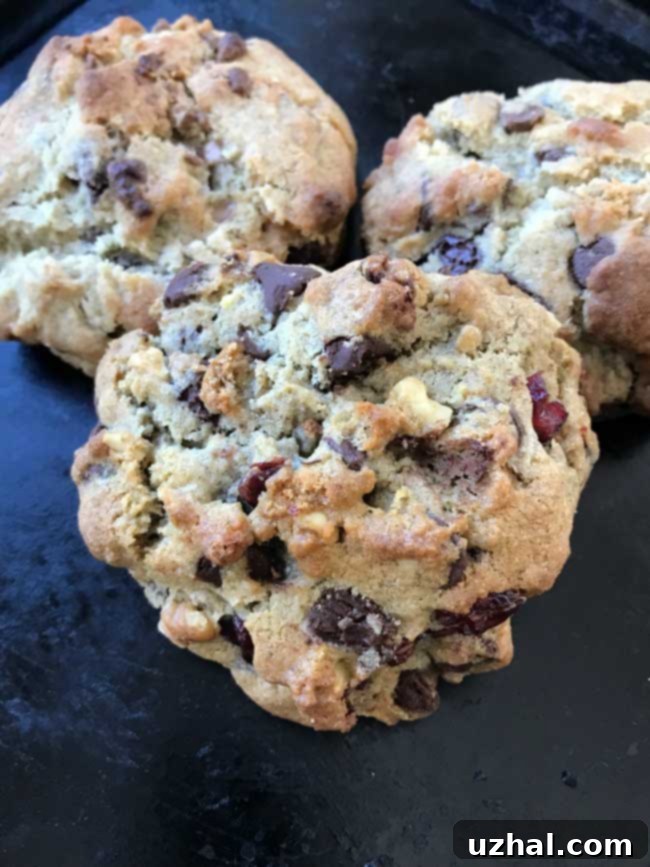 walnut rye flour chocolate chip cookies
