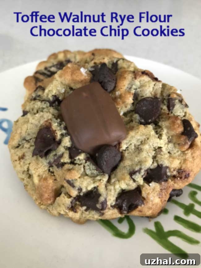 walnut rye flour chocolate chip cookies fresh from the oven