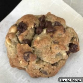 giant walnut rye flour chocolate chip cookies