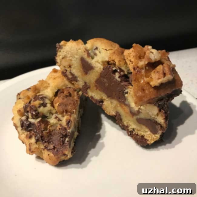 Thick Small Batch Chocolate Chip Cookies