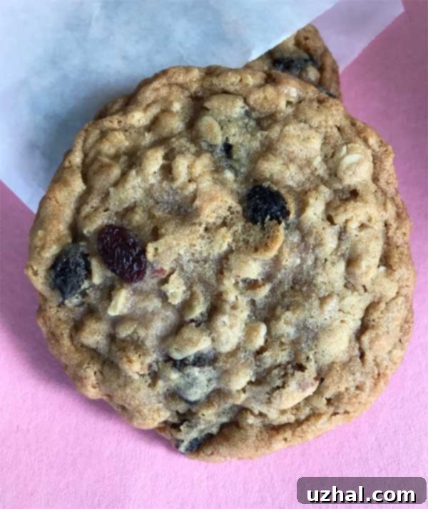chewy oatmeal cookies
