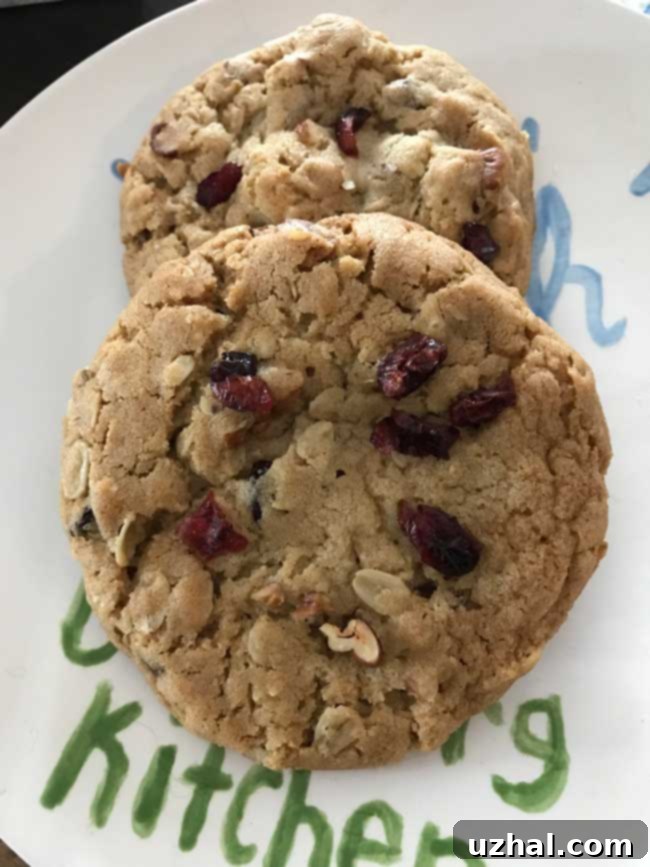 Chewy Honey Oatmeal Cookies
