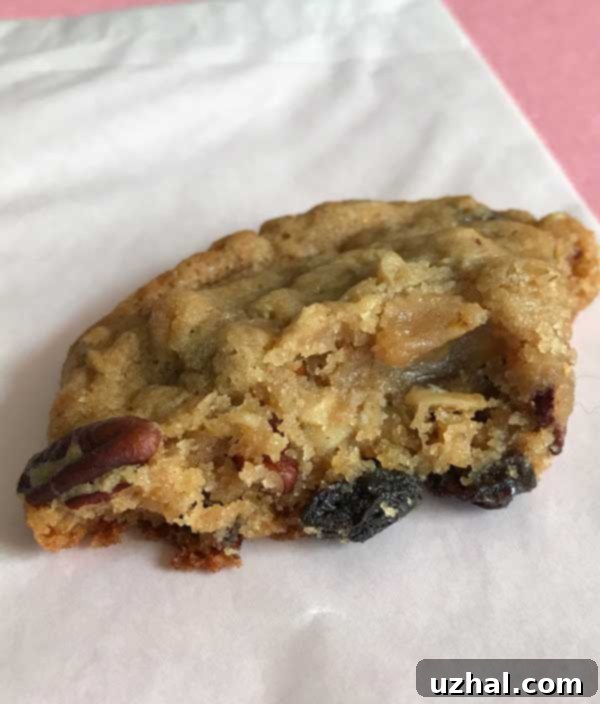 oatmeal cookie texture