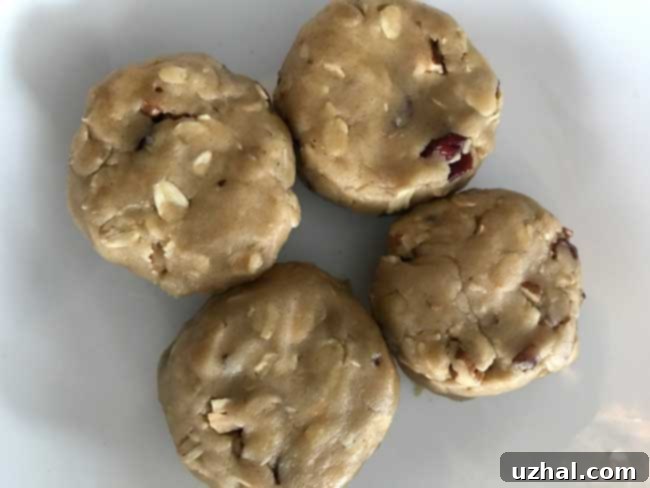 chewy honey oatmeal cookies