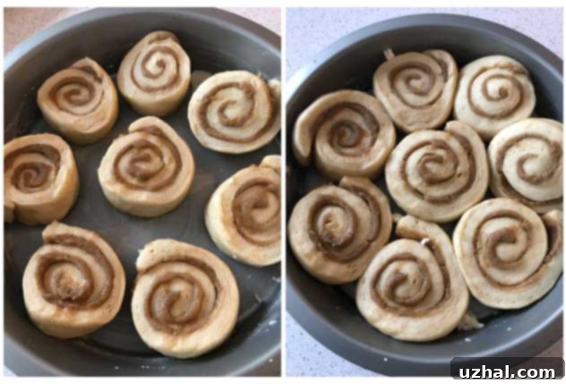 Saco powdered buttermilk unbaked cinnamon rolls.