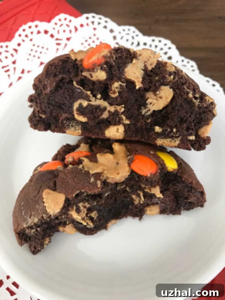 Close-up of a giant Dark Chocolate Peanut Butter Everything Cookie showing its rich, chunky texture filled with peanut butter candy pieces