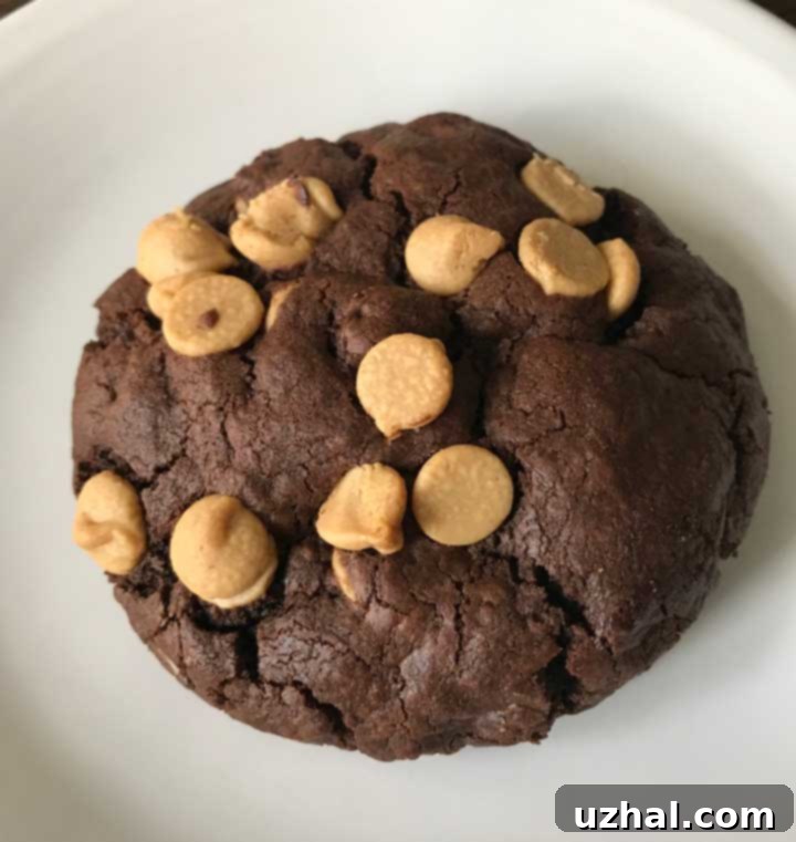 Assortment of dark chocolate peanut butter everything cookies, some with optional peanut butter drizzle