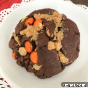 Gluten-Free Chocolate Peanut Butter Everything Cookies loaded with delicious mix-ins