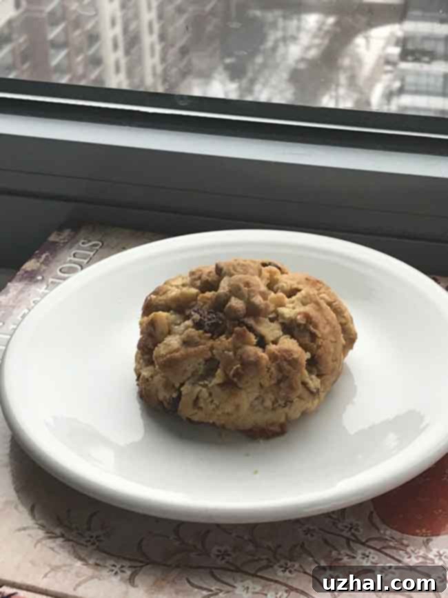 Two giant oatmeal cookies made with roasted flour on a cooling rack, highlighting their impressive size and golden-brown edges.